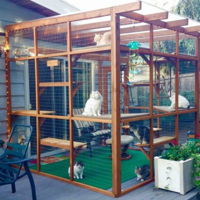 Diy outdoor hotsell pet enclosure